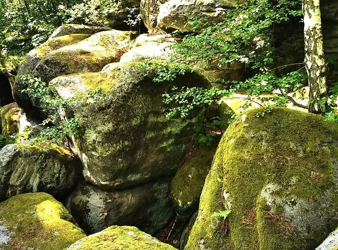 Апартаменты Dom Wakacyjny Chillout Rock