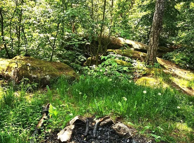 Dom Wakacyjny Chillout Rock Апартаменты *