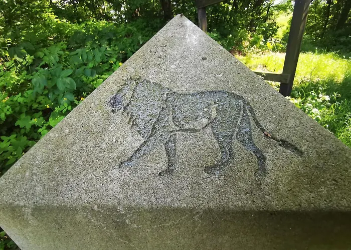 Dom Wakacyjny Chillout Rock Апартаменты *