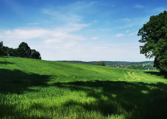 Апартаменты Dom Wakacyjny Chillout Rock Львувек-Слёнски